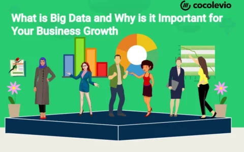 Role of Big Data in Business Growth