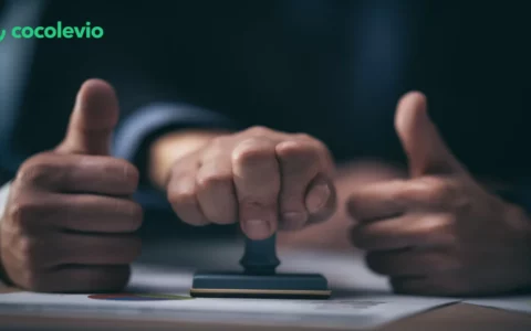 veteran owned business certification