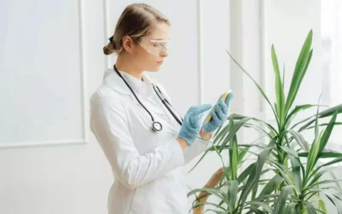 Healthcare Messaging Apps